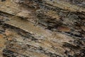 Rough rocky mountain texture. Sedimentary rock texture Royalty Free Stock Photo