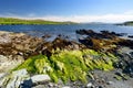 Rough and rocky shore along famous Ring of Kerry route. Rugged coast of Iveragh Peninsula, Ireland.