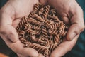 Rough masculine hands hold Italian pasta