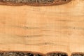 Rough sawn ambrosia maple board