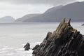 Rough sea cliffs in the western ireland