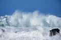 Rough Sea & High Waves, Storm's River, Tsitsikamma, South Africa Royalty Free Stock Photo