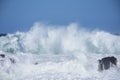 Rough Sea and High Waves, Tsitsikamma National Park, South Africa Royalty Free Stock Photo