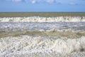 The rough sea - Storm surge with waves, foam and muddy water