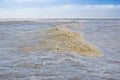 The rough sea - Storm surge with waves, foam and muddy water