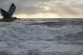 Rough sea at sunset