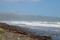 Rough sea on windy day, Raumati Beach New Zealand Royalty Free Stock Photo