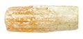 rough Selenite (Gypsum) crystal isolated