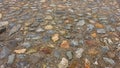 Rough stone paved ancient road underfoot