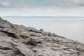 Rough stone terrain in Burren National park, county Clare, Ireland. Cloudy sky, Atlantic ocean in the background Royalty Free Stock Photo