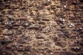 ÃÅ¸tone wall detail on medieval structure Royalty Free Stock Photo