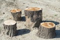 Rough street wooden furniture. Outdoor recreation on a Sunny day.