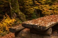 A rough table and benches of wooden logs covered with yellow fallen leaves in the autumn forest. Royalty Free Stock Photo