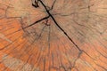 Rough background of aged wood with crack Royalty Free Stock Photo