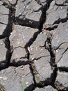 Rough texture of dried crack thick mud earth floor of a shrimp farm pond ground in grey color under hot summer sunlight in THAILAN