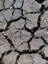 Rough texture of dried crack thick mud earth floor of a shrimp farm pond ground in grey color under hot summer sunlight in THAILAN