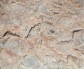 Rough texture of ferruginous clayey bed