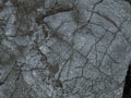 Rough texture grey matte stone with cracks background