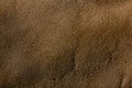 Rough texture of untreated leather Royalty Free Stock Photo