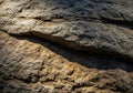 Rough-textured rock surface with visible stratification. The rocks Royalty Free Stock Photo