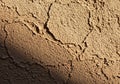 Rough-textured surface, tan in color, resembling a close-up of Royalty Free Stock Photo