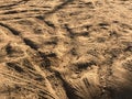 Rough tire tread trace on earth or clay under sun light Royalty Free Stock Photo