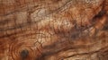 rough tree bark texture