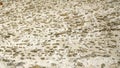 rough wall stone texture close up horizontal of castle in Lucerne Royalty Free Stock Photo