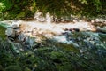 Rough water in the mountains, water flows over the rocks, forest, nature, mountains, waterfall, background Royalty Free Stock Photo