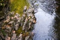 Rough water in the mountains, water flows over the rocks, forest, nature, mountains, waterfall, background Royalty Free Stock Photo