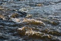 Rough water stream. foamy water rough mountain river Royalty Free Stock Photo