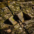 Rough, weathered stone surface featuring deeply carved, symmetrical geometric Royalty Free Stock Photo