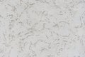 Rough white relief stucco wall texture background. blank for designers Royalty Free Stock Photo