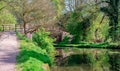 Rough Wood Bridge No 166 aka the Grove Mill Footbridge. River Gade, Cassiobury Patk, Watford, UK Royalty Free Stock Photo