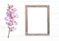 Rough wood frame with orchid flower on white background Royalty Free Stock Photo