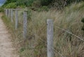 Rough wood and wire fence alongside sandy path and coarse grass