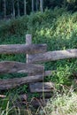 Rough wooden fence erected in the forest