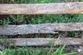 Rough wooden fence erected in the forest