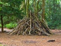 Rough wooden structure made of branches in a forest serves as a den