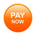 Pay now button Royalty Free Stock Photo