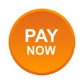 Pay now button Royalty Free Stock Photo