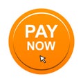 Pay now button Royalty Free Stock Photo