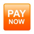 Pay now button Royalty Free Stock Photo