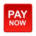 Pay now button Royalty Free Stock Photo