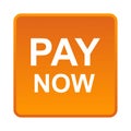 Pay now button Royalty Free Stock Photo