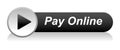 Pay online button icon Royalty Free Stock Photo