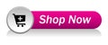 Shop now cart icon web button Royalty Free Stock Photo