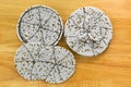 Round African handmade Beaded Coaster set in white gold Royalty Free Stock Photo