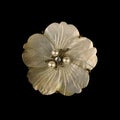 Round antique brooch with a flower shape.