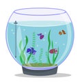 Round aquarium with fish and plants. Isolated vector image on white background Royalty Free Stock Photo